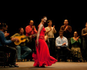 tapas and Flamenco show