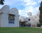 Museo Miró y Montjuïc Tour privado