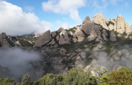 Montserrat colonia Güell